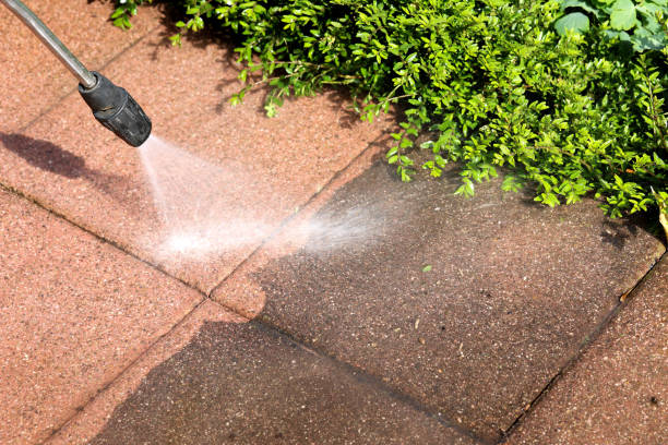 Best Roof Power Washing Services  in Mastic, NY
